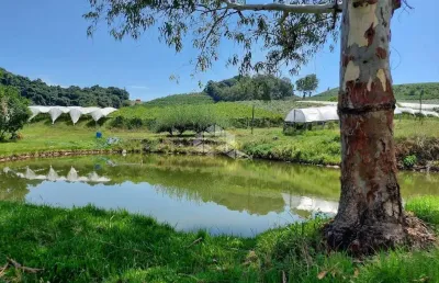 Chácara / sítio à venda na Caminhos De Pedra, 10, Zona Rural, Bento Gonçalves