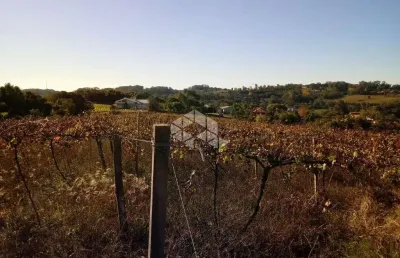 Chácara / sítio com 1 quarto à venda na Br-470  Km 208, 1, São Valentin, Bento Gonçalves