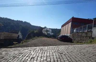 Terreno à venda na Rua Maximino Tranquilo Bortolini, 214, Vinhedos, Bento Gonçalves