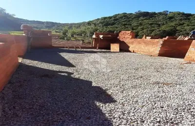 Chácara / sítio com 3 quartos à venda na Palmeiro S/nº - Linha Palmeiro, 1, São Pedro, Bento Gonçalves