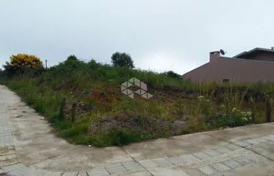 Terreno frente para rodovia rota do sol (rs 453) com 450 m².