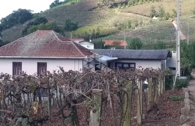 Chácara / sítio com 2 quartos à venda na Vicente Tomasi, 3, Zona Rural, Bento Gonçalves