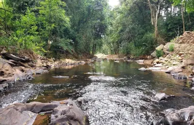 Chácara / sítio à venda na Rs444, 31, Vale dos Vinhedos (Distrito), Bento Gonçalves