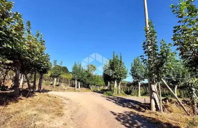 Chácara / sítio à venda na Marcílio Dias, 30, Centro, Garibaldi