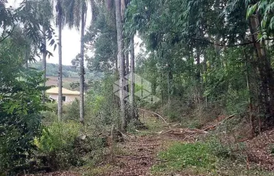 Chácara / sítio à venda na Rs 431, 10, Faria Lemos (Distrito), Bento Gonçalves