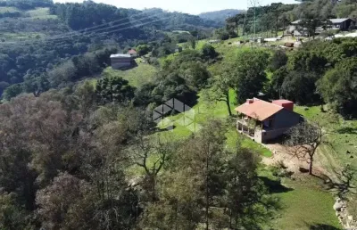 Chácara / sítio com 2 quartos à venda na Linha Palmeiro, 247, São Pedro, Bento Gonçalves