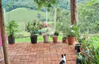 Casa com 4 quartos/dormitórios no vila junckes, em são pedro de alcântara- sc
