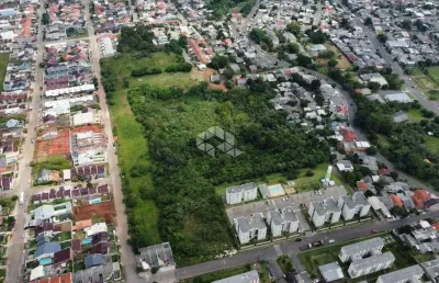 Terreno á venda, medindo 30.000  m². em são leopoldo/rs