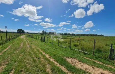 Fazenda 251 hectares plantio diversicado e dupla aptdão umuarama rj