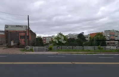 Terreno a venda na avenida saturnino de brito em porto alegre