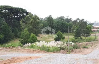 Terreno à venda na Arcangelo Chiele, 1004, São Luiz, Farroupilha