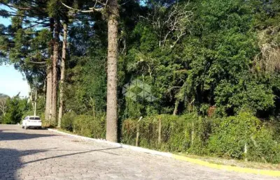 Terreno à venda na Alino Lorenzini, 130, Peterlongo, Garibaldi