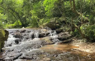 Chácara / sítio à venda na Principal, S/n, 53, São Luiz de Castro, Boa Vista do Sul