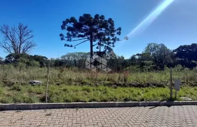 Terreno à venda na Rst 431, 72, Centro, Bento Gonçalves