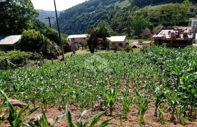 Terreno ideal para moradia, no centro de boa vista do sul