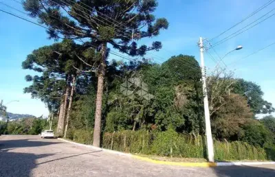 Terreno à venda na Alino Lorenzini, 129, Peterlongo, Garibaldi