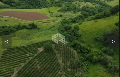 Terreno em municipio de poço fundo de 42 hectares propício para lavoura de café ou pecuária
