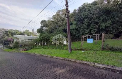 Terreno à venda na Henrique Aloisio Bockorni, 187, Vista Alegre, Ivoti