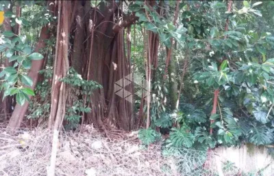 Terreno à venda na Avenida Taquary, 690, Cristal, Porto Alegre