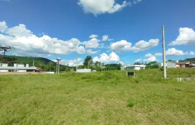 Terreno plano pronto para construir no bairro aliança
