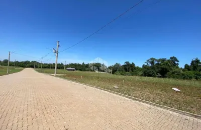 Terreno plano com sol da manhã, em linha santa cruz