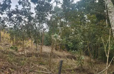 Chácara / sítio à venda na Rs 418, 7000, Linha Antao, Santa Cruz do Sul