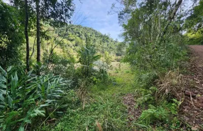 Área de terras com 2 hectares a venda em linha boa vista!
