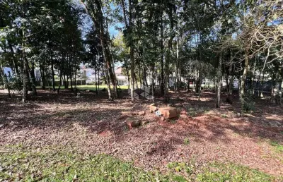 Terreno em condomínio fechado à venda na Leo Kraether, 1566, Country, Santa Cruz do Sul