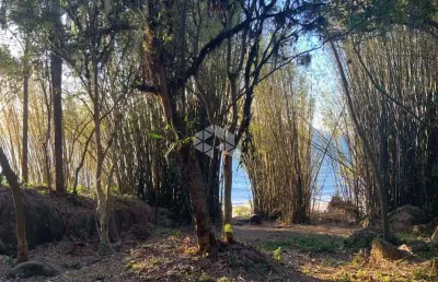 Terreno no bairro daniela, em florianópolis, sc, medindo 1,485m² de área total.