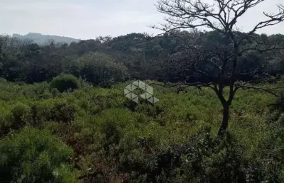 Terreno a venda no bairro lomba do pinheiro em porto alegre.