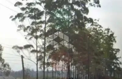 Terreno à venda na Rodovia RS-118, 6, Vila Elsa, Viamão
