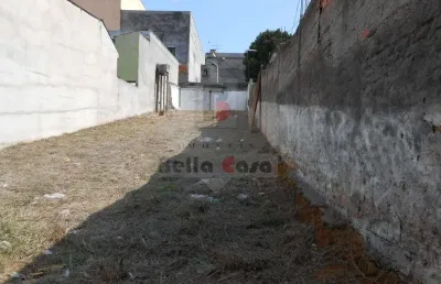 Terreno comercial para alugar na Rua São Roque, 499, Vila Ema, São Paulo
