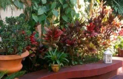 Casa comercial à venda na Avenida Arnolfo Azevedo, --, Pacaembu, São Paulo