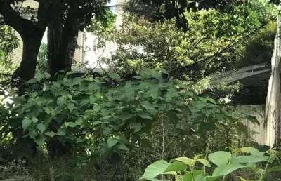 Oportunidade para você que está procurando um terreno nobre em um dos melhores endereços de sp.