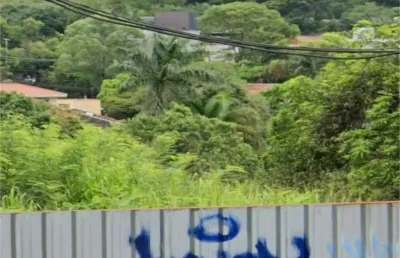 Terreno comercial à venda na Rua Pascoal Vita, --, Vila Beatriz, São Paulo