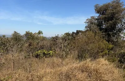 Lote no condomínio privê ii lago norte - com vista para o lago