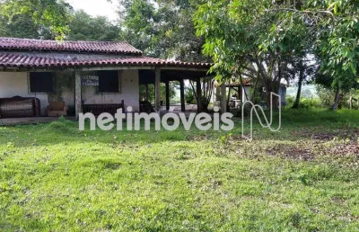 Fazenda à venda na Rodovia BR-324, Distrito Industrial, Candeias