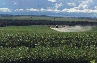 Fazenda com 5 dormitórios à venda, 440000000 m² por r$ 4.000.000.000,00 - zona rural - novo progresso/pa