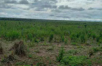 Fazenda (8.880 hectares). alto potencial para agropecuária e lavoura