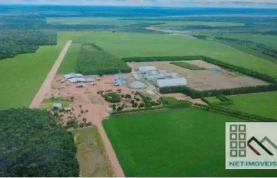 Fazenda (27.000 hectares), sede espetacular, grande potencial de fabricação e comércio de biodisel