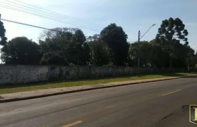 Terreno à venda na Rua das Rosas, Trianon, Guarapuava