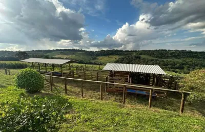 Chácara / sítio à venda na Guaíraca, Guairacá, Guarapuava