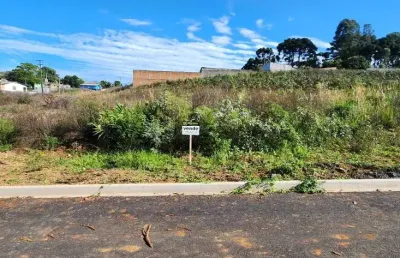 Terreno à venda na Rua Amazonas Ferreira Caldas, Morro Alto, Guarapuava