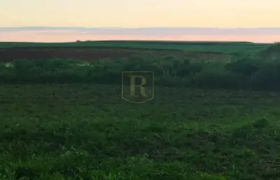 Terreno para venda em guarapuava, colônia cachoeira
