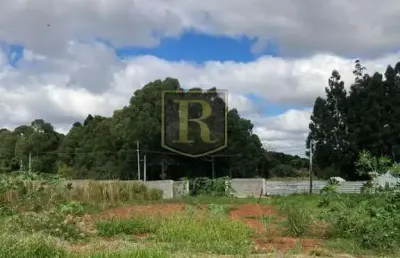 Terreno à venda na Avenida das Profissões, Morro Alto, Guarapuava