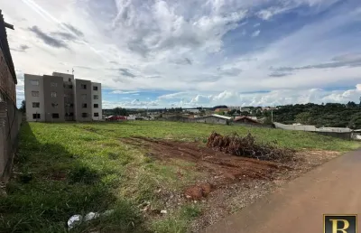 Terreno à venda na Rua Fênix, 278, São Cristóvão, Guarapuava