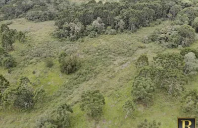 Chácara / sítio à venda no Guairacá, Guarapuava 
