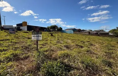 Imóvel comercial para venda em guarapuava, primavera