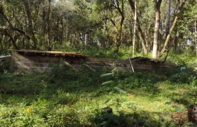 Chácara / sítio à venda na Vila Jordão, Guarapuava 