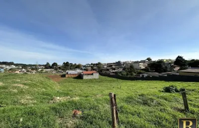 Terreno à venda na Rua Frei Caneca, Alto da XV, Guarapuava